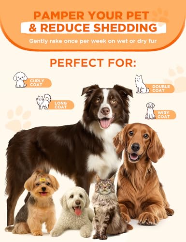 Dog Brush for Grooming,FEELNEEDY Cat Brush for Shedding,Dual-Sided Dematting and Deshedding Dog Brush with 2 Spray Levels Steam Brush, Detangling Rake for Long-Hair Dogs and Cats, for Medium-Thick Coats Prone to Tangles & Shedding