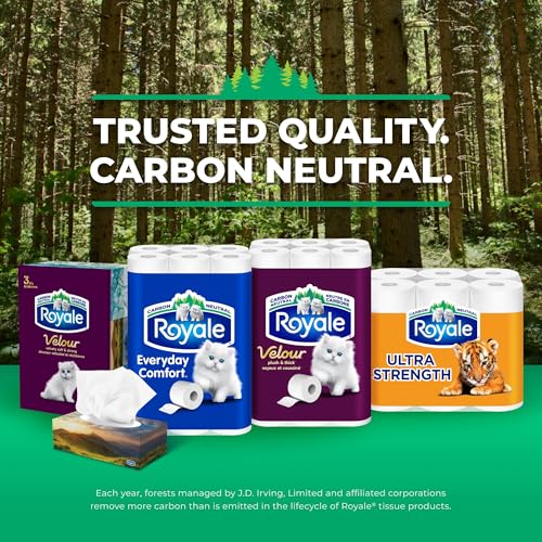 Royale Velour Facial Tissue, 6 Boxes, 82 Tissues Per Box | 3 ply