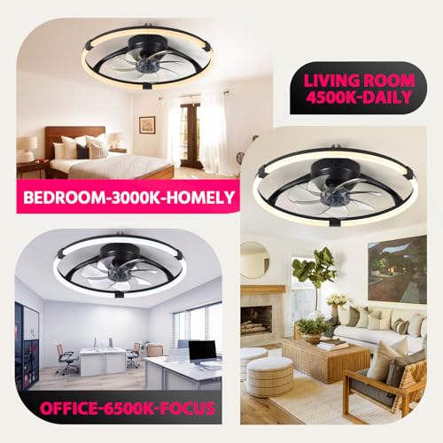 Lujeet 20 Inch Fandelier Ceiling Fan with Lights and Remote Black