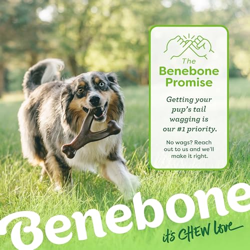 Benebone Wishbone Dog Chew Toy for Aggressive Chewers, Real Bacon, Medium