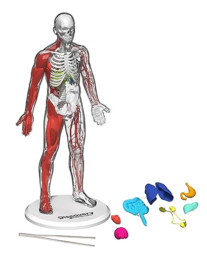 Discovery Toy Human Anatomy Kit