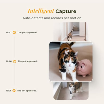 Automatic Cat Feeder with 2K Camera, 5G WiFi 4L Timed Food Dispenser