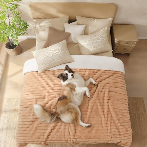 Luciphia Waterproof Blanket for Medium Large Dogs Puppy Soft Reversible Sherpa Small Pet Cat Cut Pile Warm Fleece Washable Furniture Protection for Couch Bed Car Camel,XL(85''x57'')