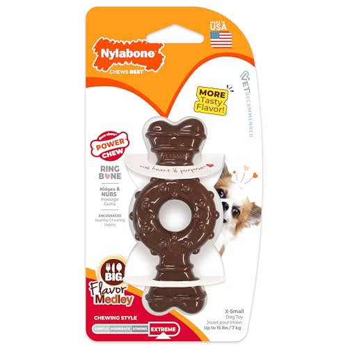 Nylabone DuraChew Textured Ring Bone, Chicken, Petite