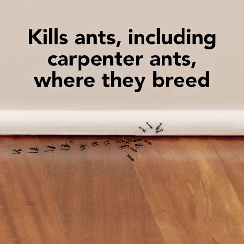Raid Max Double Control Liquid Ant Killer Baits and Traps, Kills Ants Where They Breed, For Indoor Use, Child Resistant, 8 Bait Stations