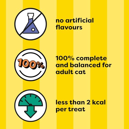 TEMPTATIONS Adult Cat Treats, Beef Flavour, 454g | Crunchy outside, soft inside, no artificial flavours, under 2 calorie per treat, 100% nutritionally complete and balanced