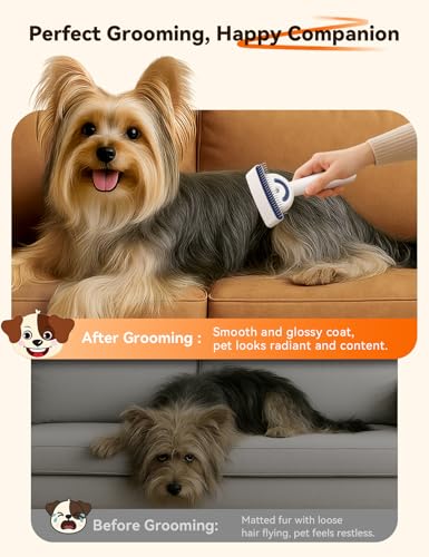 Dog Brush for Grooming,FEELNEEDY Cat Brush for Shedding,Dual-Sided Dematting and Deshedding Dog Brush with 2 Spray Levels Steam Brush, Detangling Rake for Long-Hair Dogs and Cats, for Medium-Thick Coats Prone to Tangles & Shedding