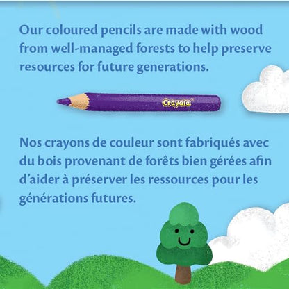Crayola Bulk Coloured Pencils for Kids (3 packs) - 12 Assorted Colours, Art Supplies For Crafts & Colouring Books, Bulk Preschool & Kindergarten Classroom Supplies