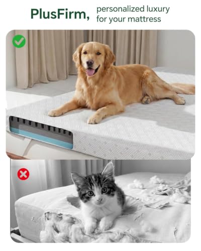 Queen Size Memory Foam Mattress Topper for Pressure Relief