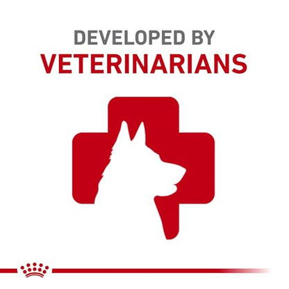Royal Canin Breed Health Nutrition Dachshund Adult Dry Dog Food, 2.5 lb Bag