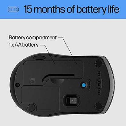 HP X3000 BLK G3 WRLS Mouse