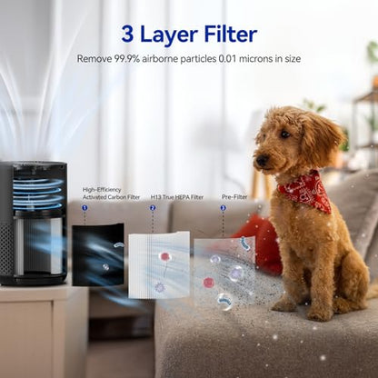 Air Purifiers for Bedroom up to 588 Ft², 20dB Bedroom Air Purifier for Small Room Removes Dust Pets Hair Smoke Odor with Aromatherapy Function (Black)