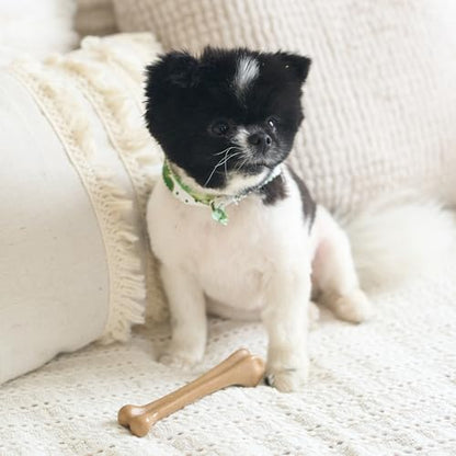 Ethical Pets 54316 Bambone Bone Chicken Pet Chew Toys