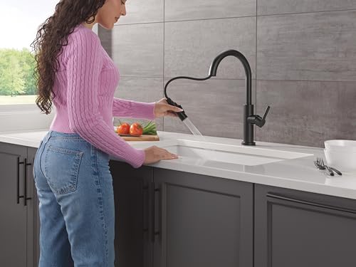 Delta 19867LF-BL Nicoli Single Handle J Spout Kitchen Faucet in Matte Black