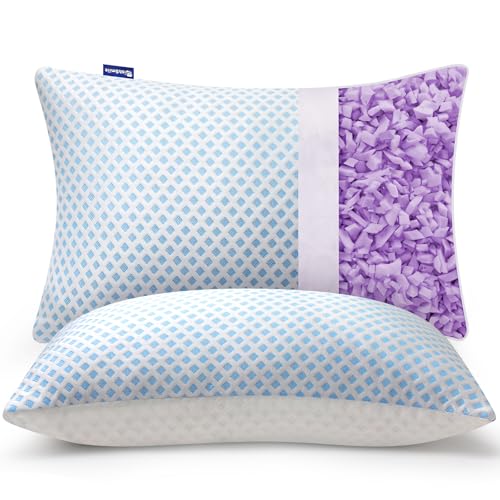 Cooling Memory Foam Pillows Queen Size 2 Pack, Adjustable Shredded Foams, Soft Firm Bed Pillow for Sleeping with Hypoallergenic Zipper Pillow Cover for Side, Back Sleepers, 20x30In