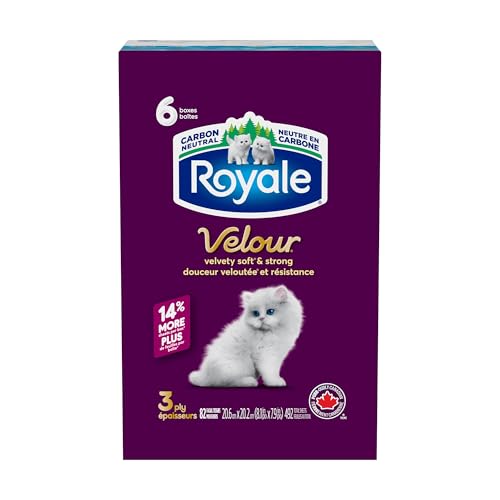 Royale Velour Facial Tissue, 6 Boxes, 82 Tissues Per Box | 3 ply