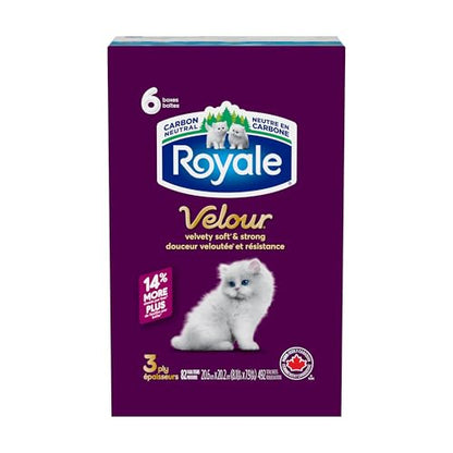 Royale Velour Facial Tissue, 6 Boxes, 82 Tissues Per Box | 3 ply