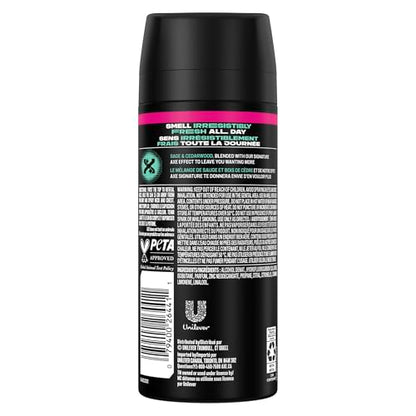 AXE Apollo Deodorant Body Spray Cedarwood 48H Protection, 113g, 4-Pack