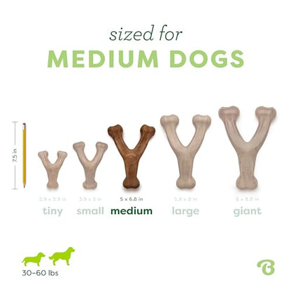 Benebone Wishbone Dog Chew Toy for Aggressive Chewers, Real Bacon, Medium