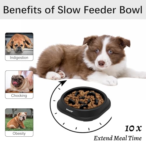 MateeyLife 1 Cup Interactive Dog Puzzle Bowl Slow Down Eating Dishes GrayBlack