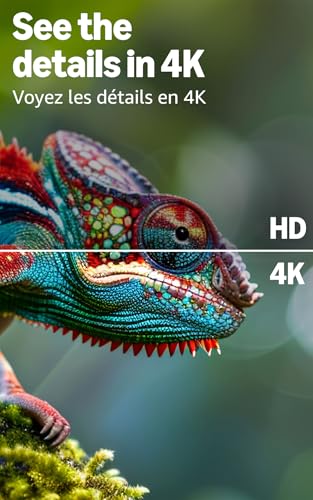 Amazon Ember 50" 4-Series with Fire TV (newest model), 4K Ultra HD smart TV with Alexa Remote, HDR10+, fast processor, Dolby Audio, Ambient Experience, free and live TV, Designed for Alexa+