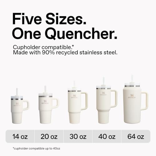 Stanley Quencher H2.0 Tumbler with Handle and Straw 40 oz Flowstate 3-Position Lid Cup Holder Compatible for Travel Insulated Stainless Steel Cup BPA-Free Meadow