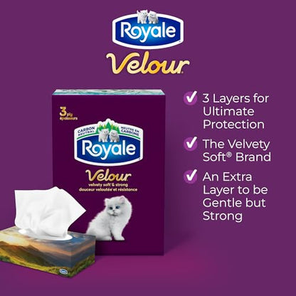 Royale Velour Facial Tissue, 6 Boxes, 82 Tissues Per Box | 3 ply