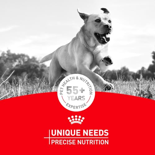 Royal Canin Breed Health Nutrition Dachshund Adult Dry Dog Food, 2.5 lb Bag