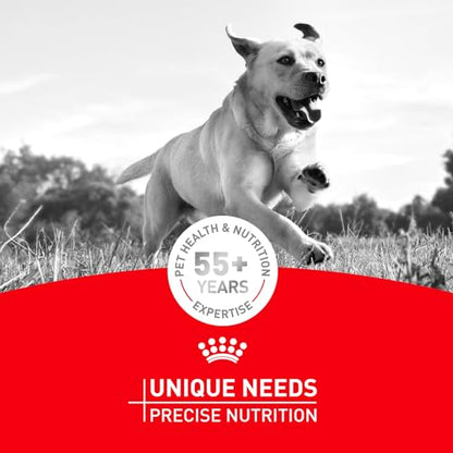 Royal Canin Breed Health Nutrition Dachshund Adult Dry Dog Food, 2.5 lb Bag