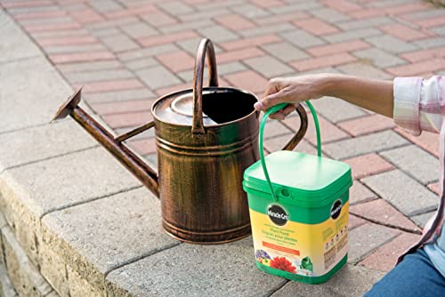 Miracle-Gro Water Soluble All Purpose Plant Food, 1.5kg | Instantly Feeds All Flowers, Veggies, Trees & Shrubs for Bigger, More Beautiful Plants