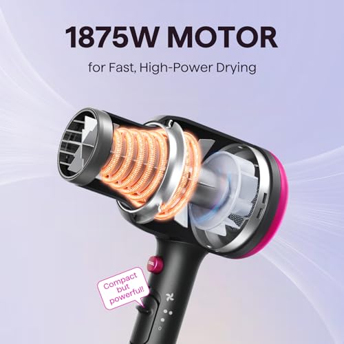 Wavytalk Hair Dryer with Diffuser, Blown Away Ionic Blow Dryer