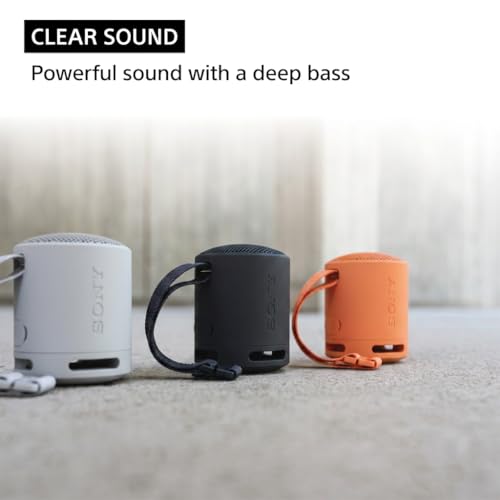 Sony SRS-XB100 Wireless Bluetooth Portable Lightweight Super-Compact Travel Speaker, Extra-Durable IP67 Waterproof & Dustproof, 16 Hour Battery, Versatile Strap, and Hands-Free Calling, Black New