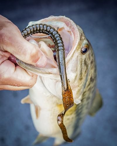 PowerBait Power Worms Green Pumpkin 7in | 18cm