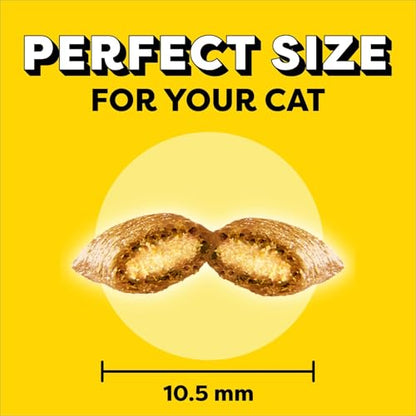 TEMPTATIONS Adult Cat Treats, Beef Flavour, 454g | Crunchy outside, soft inside, no artificial flavours, under 2 calorie per treat, 100% nutritionally complete and balanced