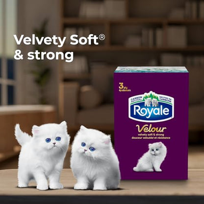 Royale Velour Facial Tissue, 6 Boxes, 82 Tissues Per Box | 3 ply