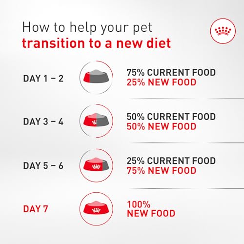 Royal Canin Breed Health Nutrition Dachshund Adult Dry Dog Food, 2.5 lb Bag