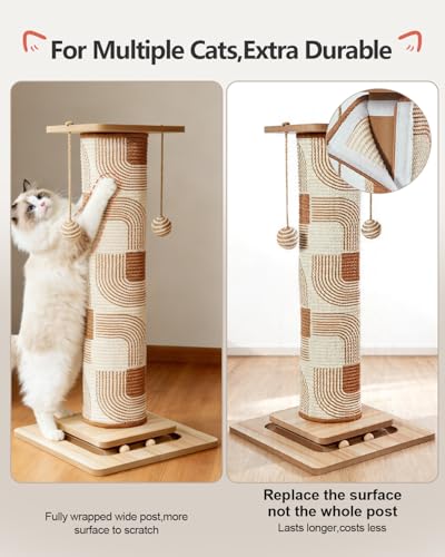 Odoland 31" Tall Cat Scratching Post, Cat Scratcher with Replaceable Pad