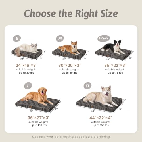 COZY KISS Orthopedic Washable Dog Bed for Puppies & Cats, Removable, Grey