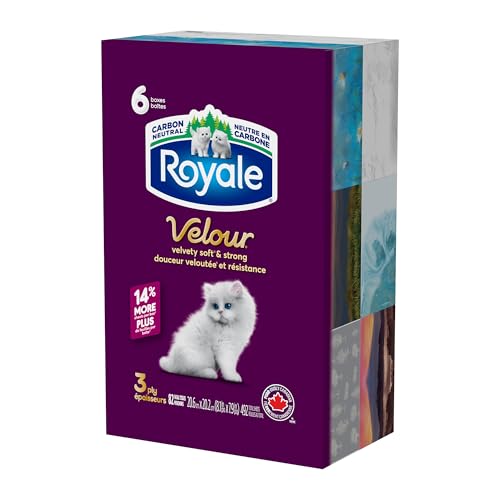 Royale Velour Facial Tissue, 6 Boxes, 82 Tissues Per Box | 3 ply