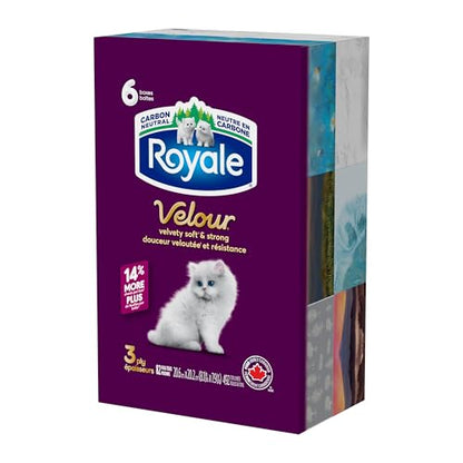 Royale Velour Facial Tissue, 6 Boxes, 82 Tissues Per Box | 3 ply