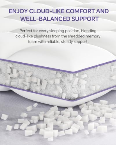 ChiXpace Dual Layer 4 Inch Memory Foam Mattress Topper Queen