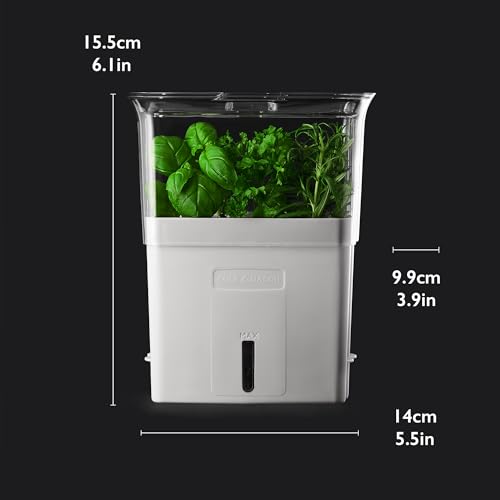 Cole & Mason H105159 Tealby Fresh Cut Herb Keeper, Herb Pot/Storage/Herb Saver/Box, Acrylic, Includes Removable Dividers, 2 Year Guarantee,White/Clear (H) 230mm x (W) 185mm x (D) 120mm