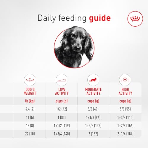 Royal Canin Breed Health Nutrition Dachshund Adult Dry Dog Food, 2.5 lb Bag