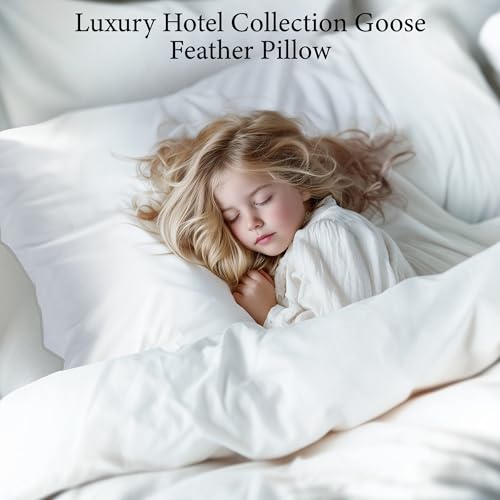 SANSWAN King Size Goose Feathers Down Pillows 2 Pack, Medium Firm Pillow