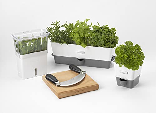 Cole & Mason H105159 Tealby Fresh Cut Herb Keeper, Herb Pot/Storage/Herb Saver/Box, Acrylic, Includes Removable Dividers, 2 Year Guarantee,White/Clear (H) 230mm x (W) 185mm x (D) 120mm