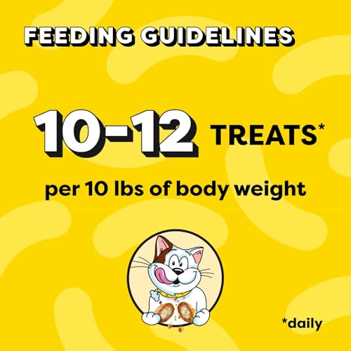 TEMPTATIONS Adult Cat Treats, Beef Flavour, 454g | Crunchy outside, soft inside, no artificial flavours, under 2 calorie per treat, 100% nutritionally complete and balanced