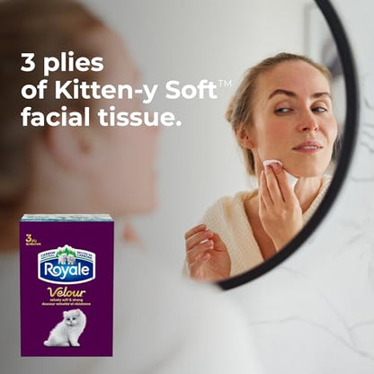 Royale Velour Facial Tissue, 6 Boxes, 82 Tissues Per Box | 3 ply