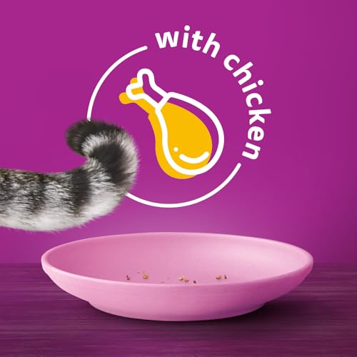 WHISKAS Meaty SELECTIONS Adult Dry Cat Food, Real Chicken Flavour, 2kg