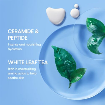 LANEIGE Icons To Go Set: Cream Skin, Water Bank Cream, Lip Sleeping Mask, Water Sleeping Mask
