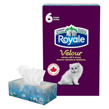 Royale Velour Facial Tissue, 6 Boxes, 82 Tissues Per Box | 3 ply
